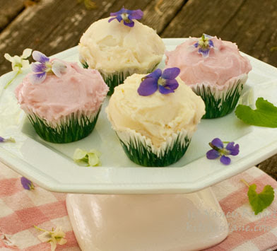 Frosting made with Plant-Based Color  Dye free foods, Naturally colored  frosting, Dye free cupcakes