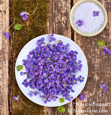 Free pictures of violets