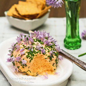 Edible Flowers and Herb Blooms