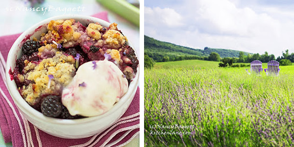 blackberry_cobbler_lavender_farm