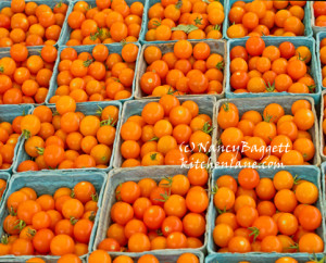 orangetomatoes25crop72WM copy